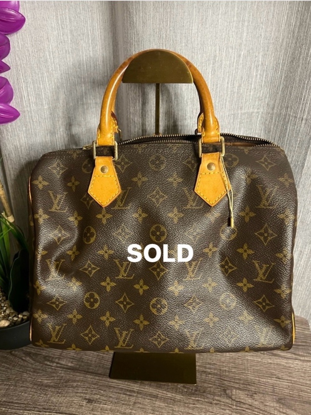 Louis Vuitton Speedy 30